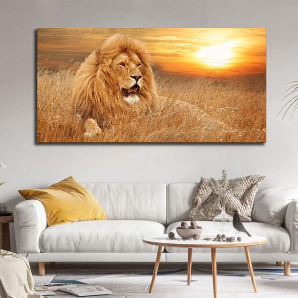 African lion at sunset in a field Canvas